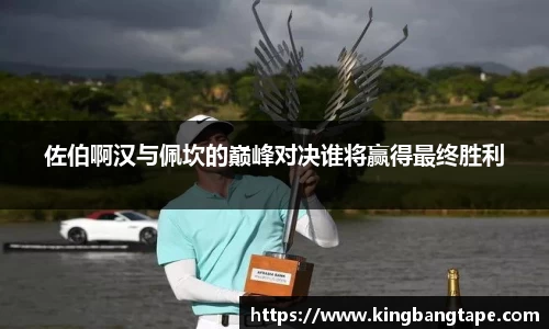 半岛bob·官方网站